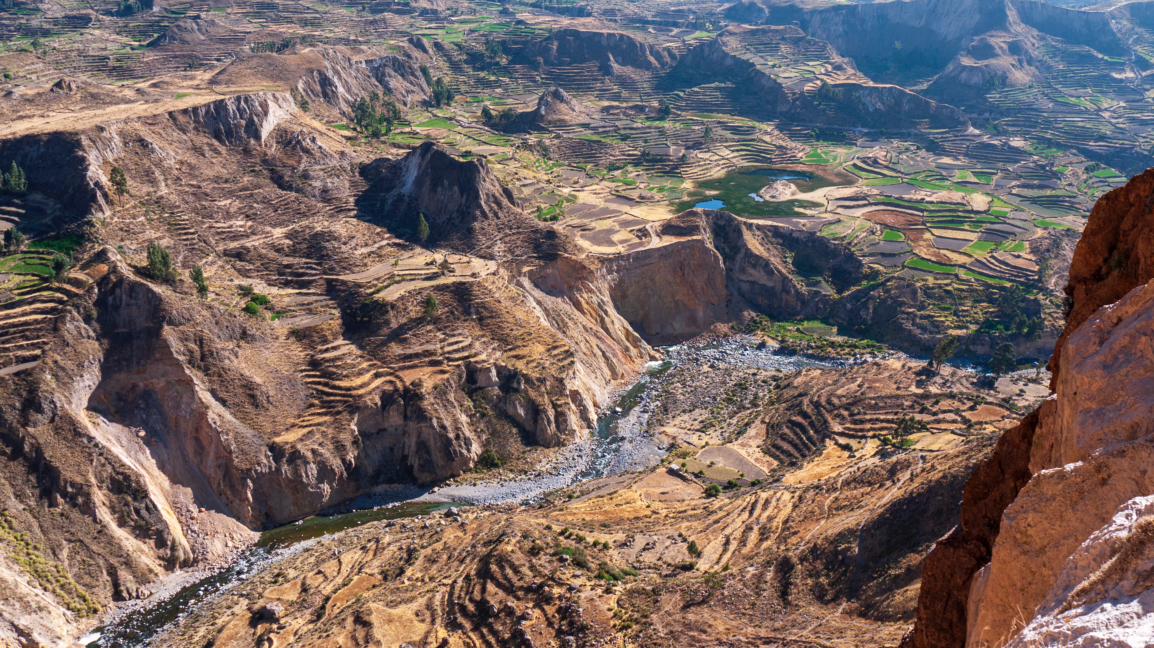 Colca canion